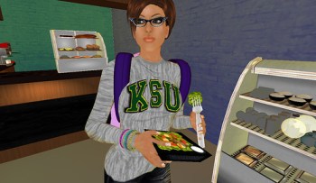 ksu-secondlife.jpg