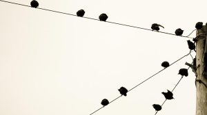 JUN15_08_545754619_b