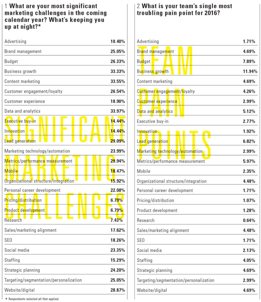 A summary from the AMA marketing pain points survey. (Click to enlarge.)